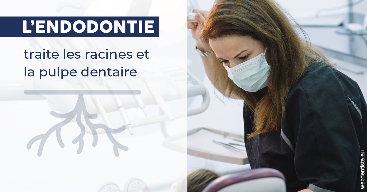 https://dr-faboumy-marc-olivier.chirurgiens-dentistes.fr/L'endodontie 1