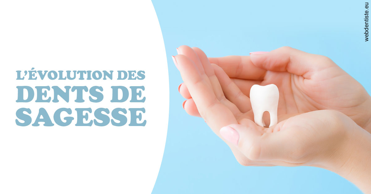 https://dr-faboumy-marc-olivier.chirurgiens-dentistes.fr/Evolution dents de sagesse 1