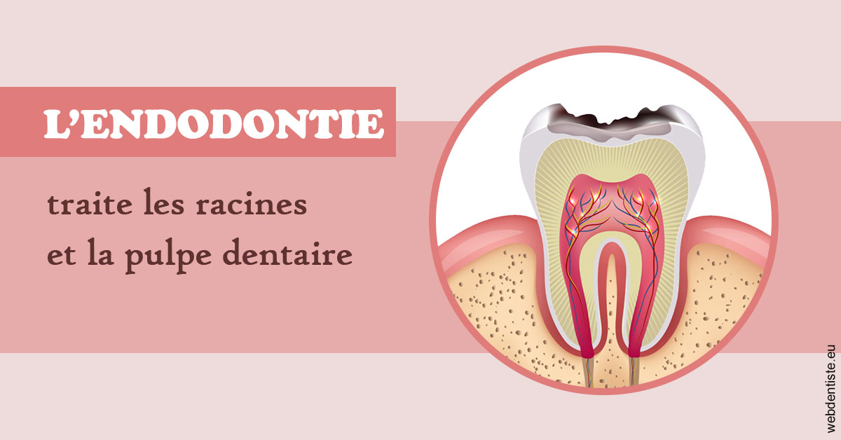 https://dr-faboumy-marc-olivier.chirurgiens-dentistes.fr/L'endodontie 2