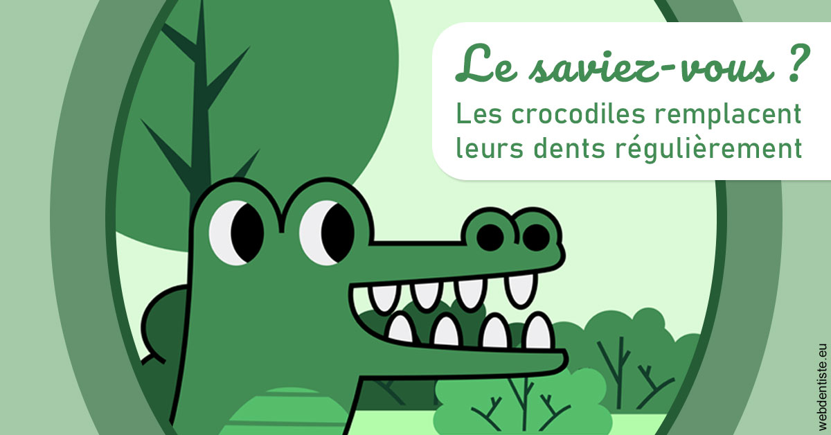 https://dr-faboumy-marc-olivier.chirurgiens-dentistes.fr/Crocodiles 2